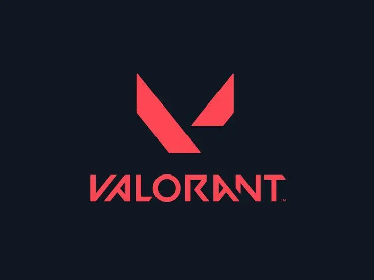 Valorant VP 150 Turkey